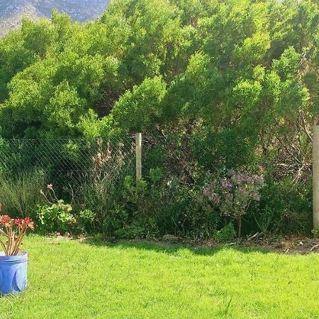 Cat Nap Cottage Bettys Bay Exterior photo