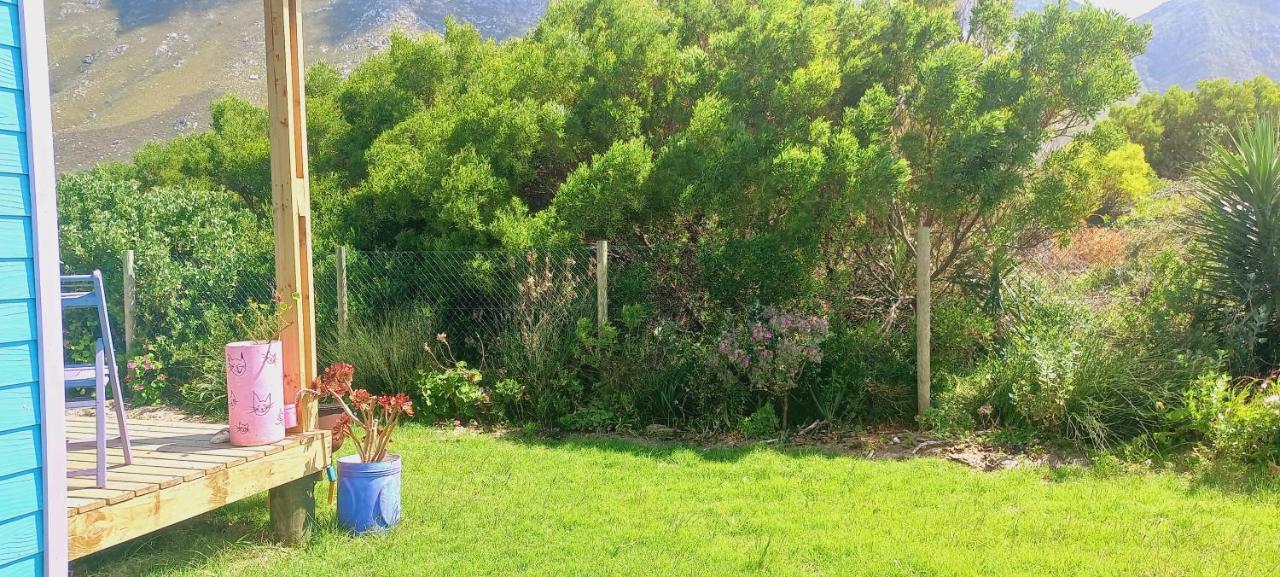 Cat Nap Cottage Bettys Bay Exterior photo